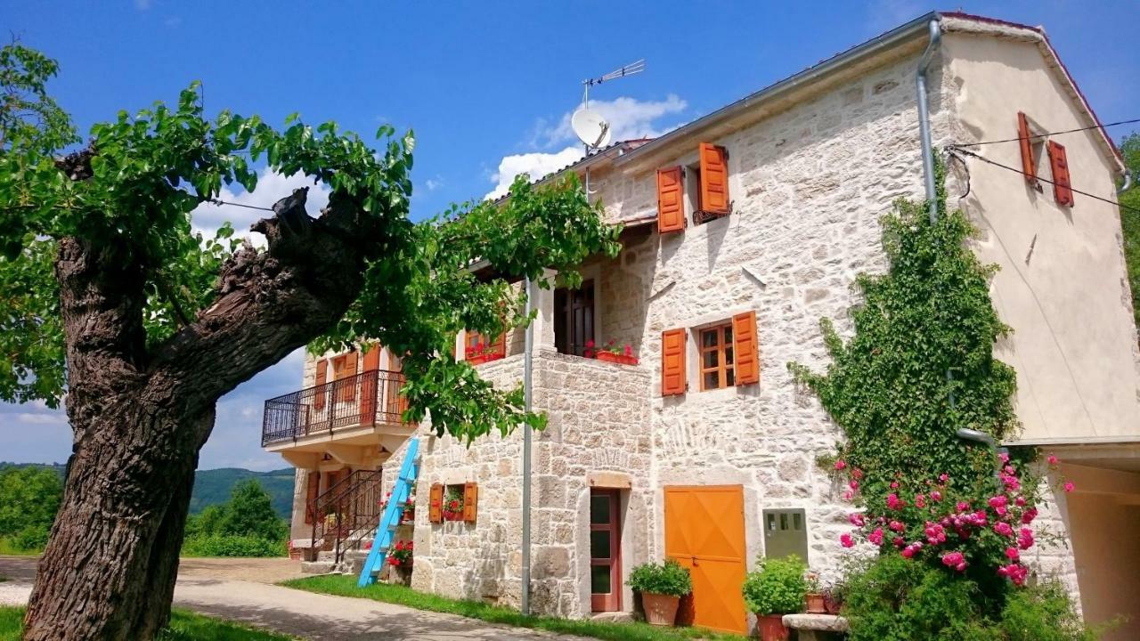 Villa Angela E Giovanni Vižinada Екстериор снимка
